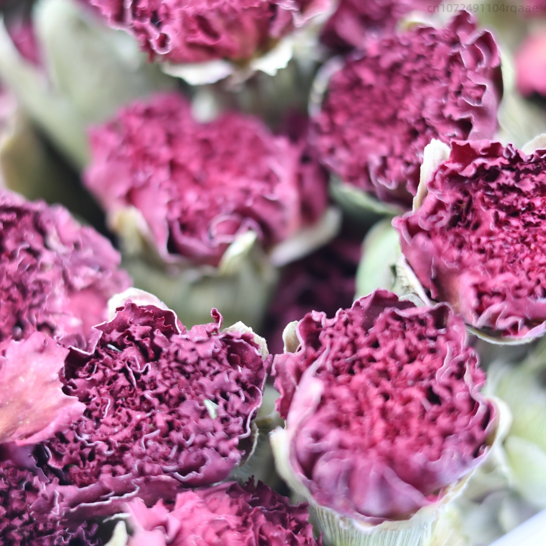 250g/500g Premium Natural Carn - Potpourri Dried Flower 评论和价格