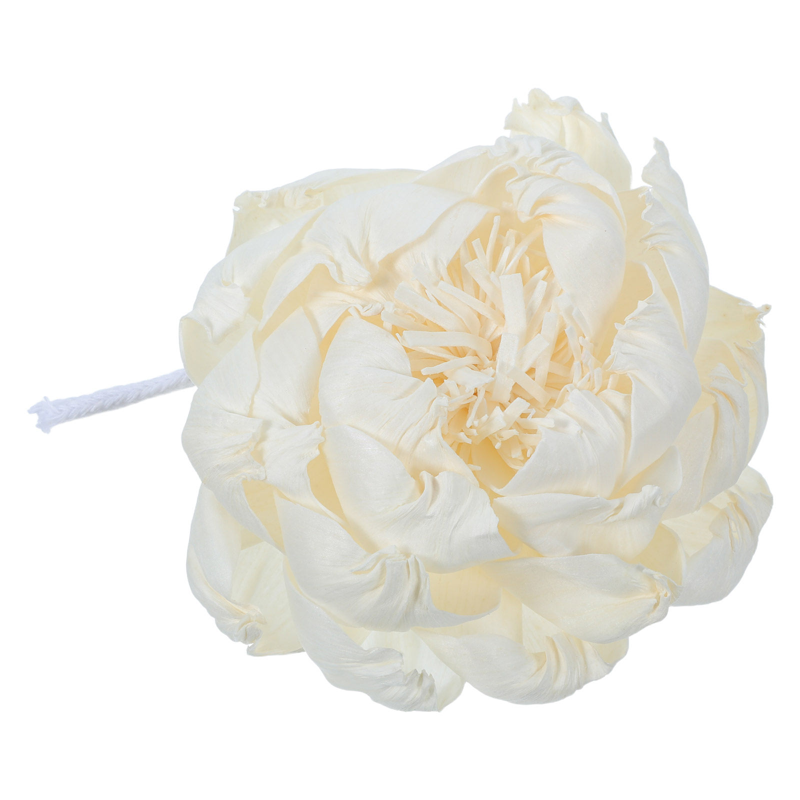 Peony Head Fragrance Diffuser  - Fragrance Home Decor 评论和价格