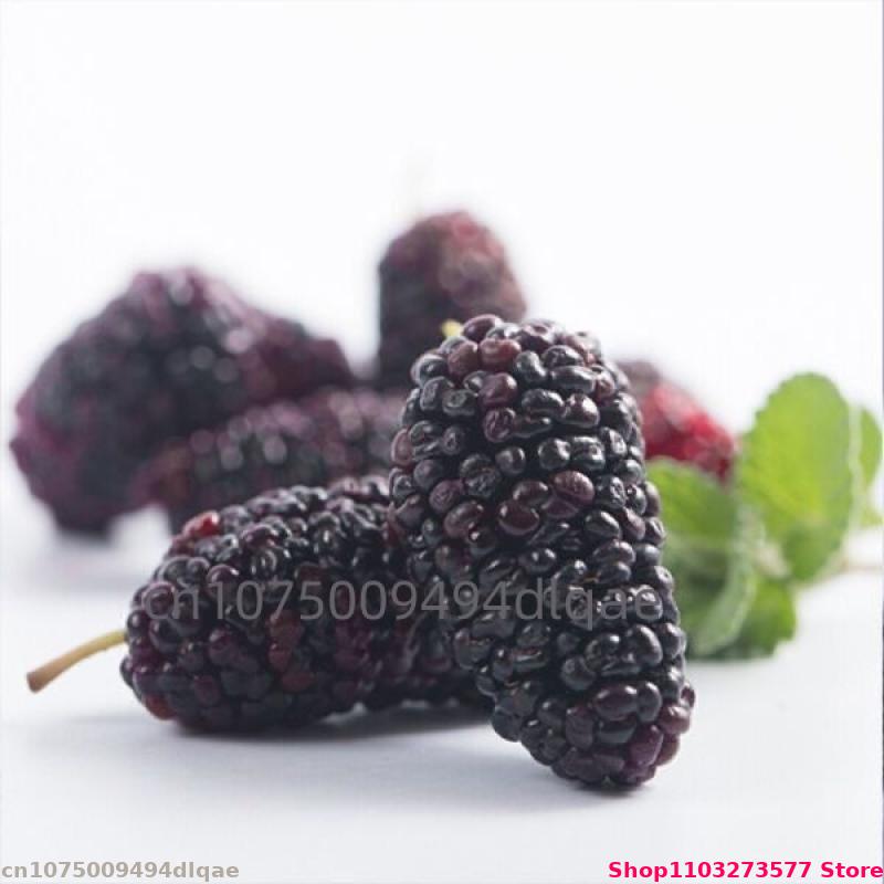100g-200g Natural Bulk Mulberr - Potpourri Dried Flower 评论和价格