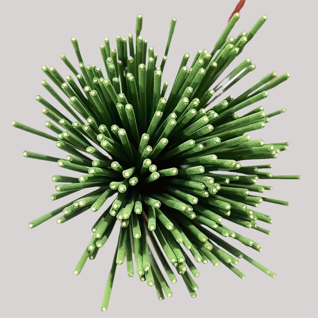 Reed Diffuser Sticks Lemongras - Home Fragrance Elements 评论和价格