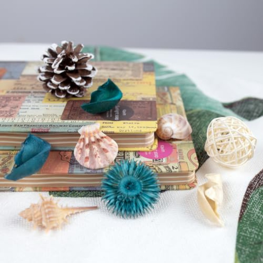 Sea Shell Potpourri Bag, Ocean - Potpourri Dried Flower 评论和价格