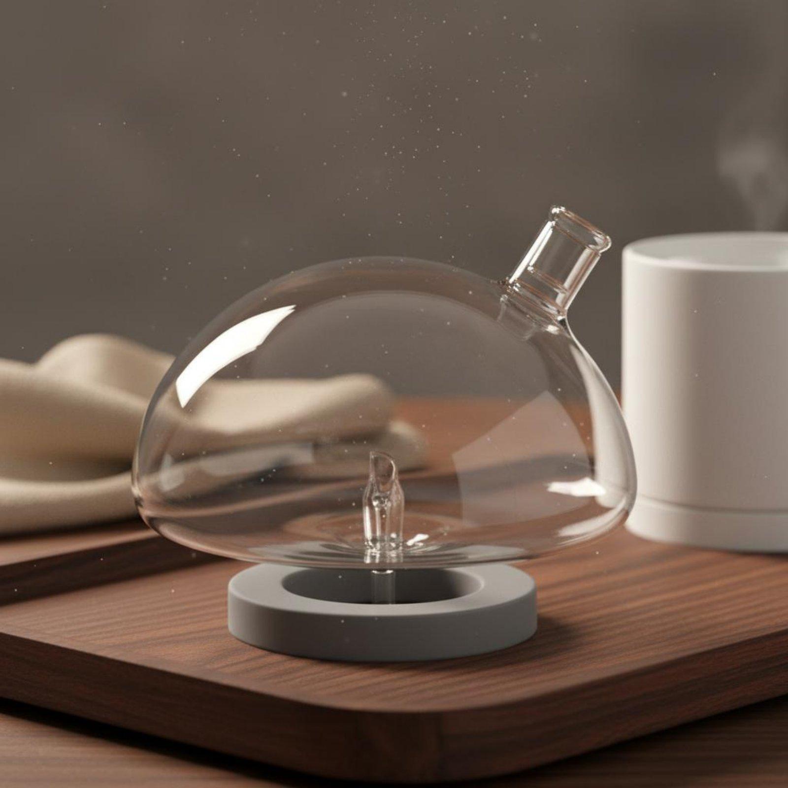 Diffuser Bottle Universal Fit  - Home And You Fragrance Diffuser 评论和价格