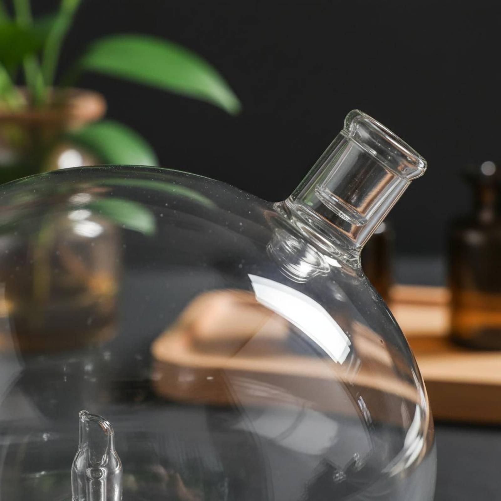Diffuser Bottle Universal Fit  - Home And You Fragrance Diffuser 评论和价格