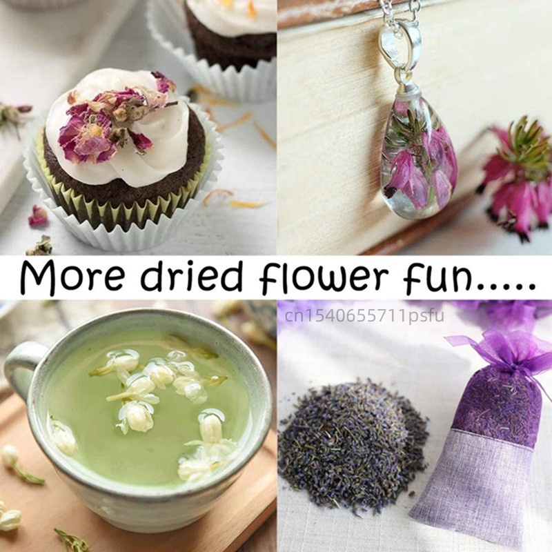High-quality Natural Jasmine D - Potpourri Dried Flower 评论和价格